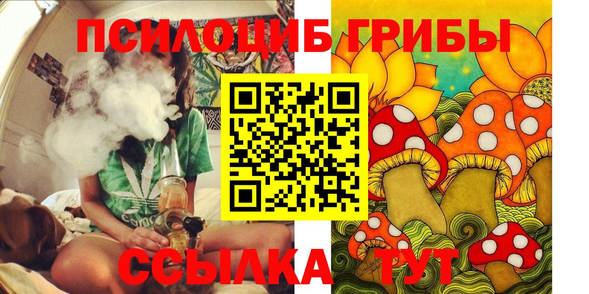 Александров  Галлюциногенные грибы Magic Shrooms  Вход с VPN 